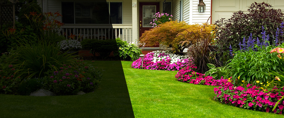 Algodones Landscapers