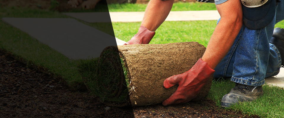 Algodones Landscapers